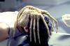 Thumb_hurt_films_alien_006