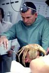 Thumb_hurt_films_alien_008