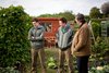 Thumb_phelps_tv_kingdom_01
