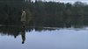 Thumb_fiennes_film_thereader_15