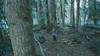 Thumb_pattinson_films_twilight_003