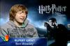 Thumb_grint_interviews_msn_01