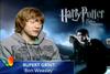 Thumb_grint_interviews_msn_02