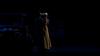 Thumb_fry_films_gosfordpark_002