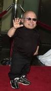 Thumb_troyer_appearances_bubbleboyprem_03