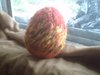 Thumb_contests_enchantedeasteregg_april2009_dragonegg_staarrkattt