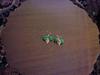 Thumb_hanna_lunas_radish_earrings_1