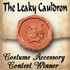 Thumb_3rdplace_accessory