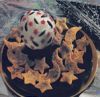 Thumb_hpbdaysdotcomwizardscrystalcheeseball