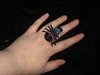 Thumb_jewelry_neckbraceringear_beadedspiderring_christinab