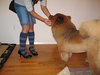 Thumb_knitting_mugglewear_socks_ravenclawkneehisa_eca
