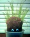 Thumb_potterparties_classes_herbology_growingmandrakes_hmcaspar