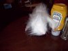 Thumb_sewing_dolls_ferret_front_lindal