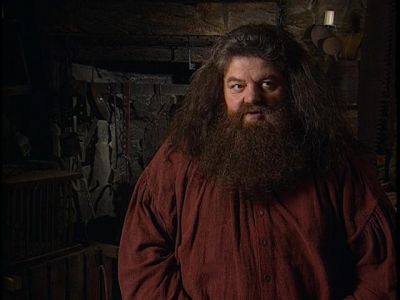 Normal_rubeushagridint4