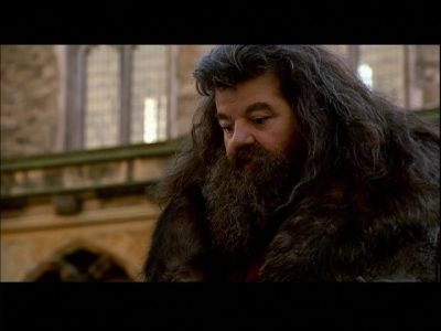 Normal_rubeushagridint5