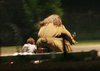 Thumb_dh_onset_bovingdonaug09_017