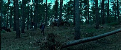 Normal_dh_stills_002