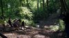Thumb_dhteaser_boominwoods