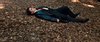 Thumb_dh_highrestrailerstills_02