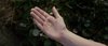 Thumb_dh_previewstrailers_dh2trailer_004