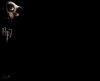 Thumb_films_dh_promotional_twitter_014