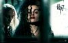 Thumb_films_dh_promotional_wallpaper_01