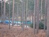 Thumb_dh_set_swinleyforest10_02
