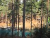 Thumb_dh_set_swinleyforest10_06