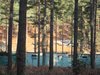 Thumb_dh_set_swinleyforest10_07