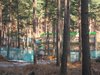 Thumb_dh_set_swinleyforest10_09