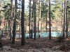 Thumb_dh_set_swinleyforest10_10
