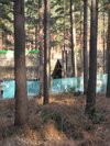 Thumb_dh_set_swinleyforest10_11