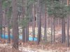Thumb_dh_set_swinleyforest10_14