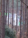 Thumb_dh_set_swinleyforest10_17