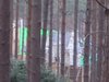 Thumb_dh_set_swinleyforest10_18