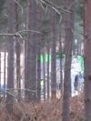 Thumb_dh_set_swinleyforest10_19