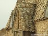 Thumb_dh_set_shellcottage_courtesy_of_jo_prout_37