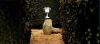 Thumb_r_film_15tricup