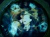 Thumb_reflectionsonthe4thfilm028