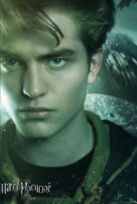 Normal_im-57721-cedric-diggory-n-1