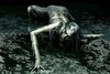 Thumb_hbp_conceptart_brockbank_03