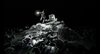 Thumb_hbp_conceptart_brockbank_05