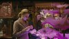 Thumb_hbp_officiallstills_14