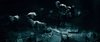 Thumb_movies_hbp_5trailerhd_139