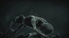 Thumb_hbp_previews_videogamtrailer_012