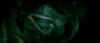 Thumb_movies_hbp_3rdtrailerhd_009