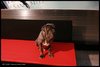 Thumb_hbp_promotional_frenchpromotrain_020