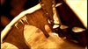 Thumb_hbp_dvdextras_wwthemepark_010