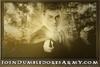 Thumb_movie_ootp_website_12