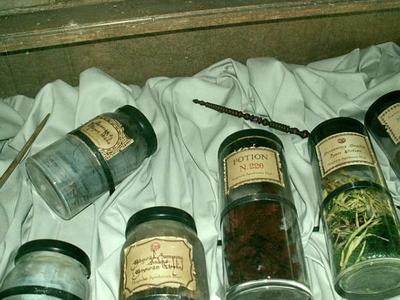 Normal_movies_ootp_zurichhogwartsexhibit_007